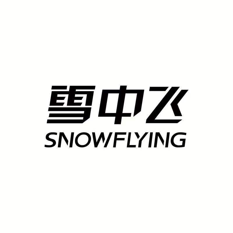 雪中飞