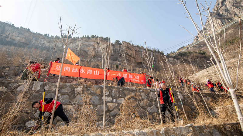 迈向绿水青山  每一步都算“树”——平原商场2024年植树